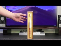 Wieder aufladbare Zahnpflege-elektrische Zahnbürste IPX7 imprägniern für Erwachsen-Teenager